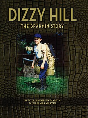 cover image of Dizzy Hill